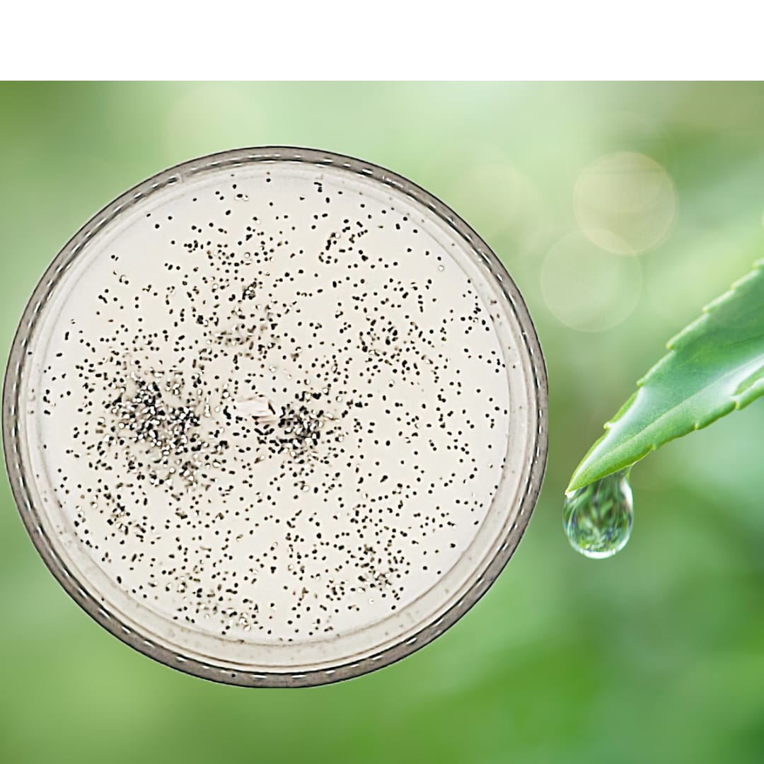Rainy Spring Soy & Coconut Candle 20cl by mindeFul mooD