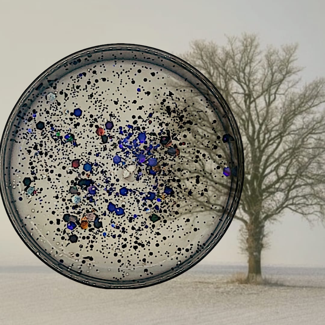 Icy Black Trees Soy & Coconut Candle 20cl by mindeFul mooD