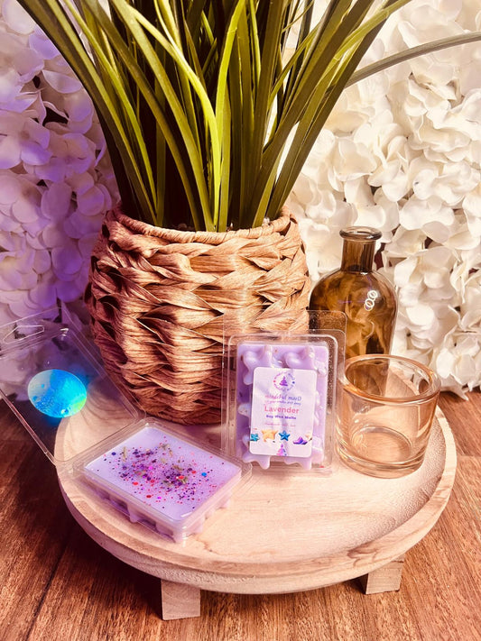 Handmade Lavender Soy Wax Star Clamshell