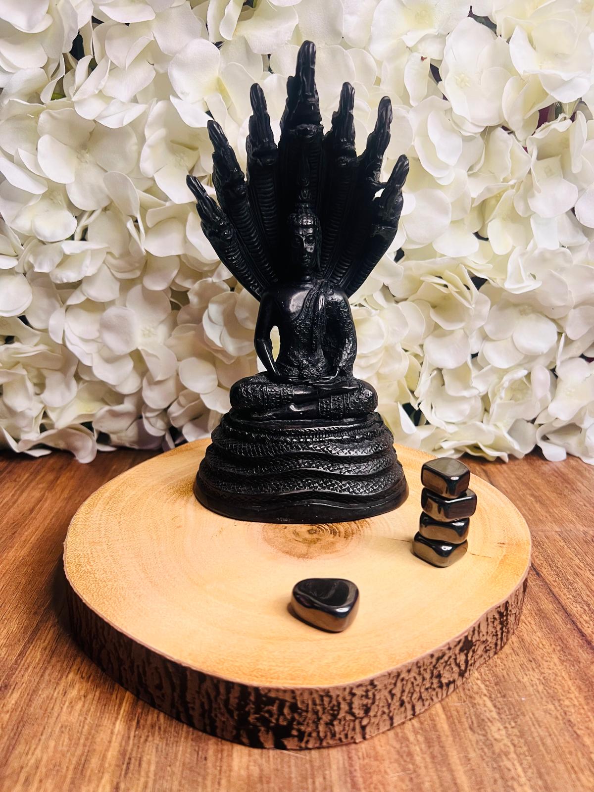 Magnetic Hematite Tumble