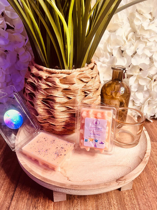 Handmade Cranberry & Cinnamon Soy Wax Star Clamshell