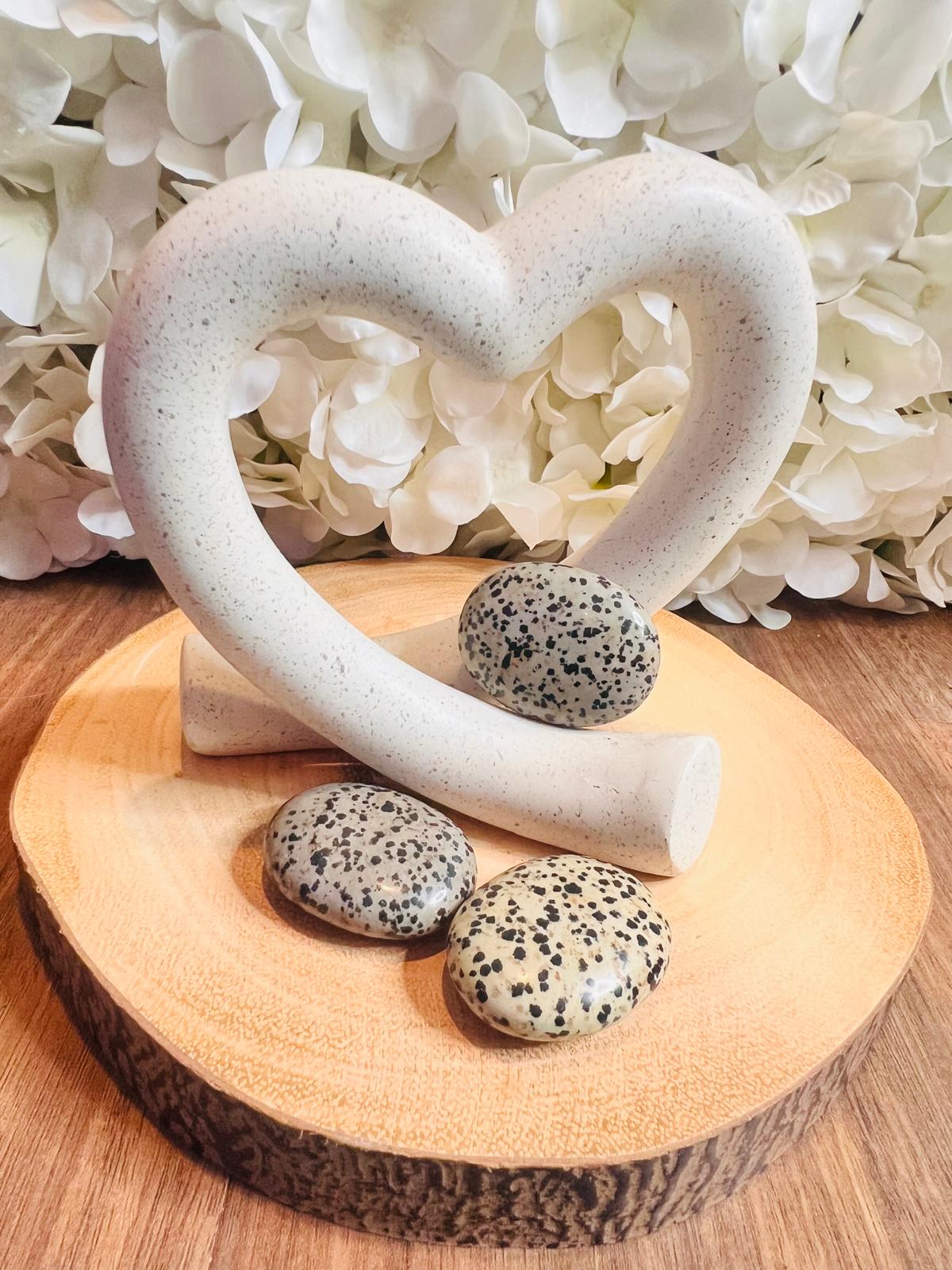 Dalmatian Jasper - Palm Stone
