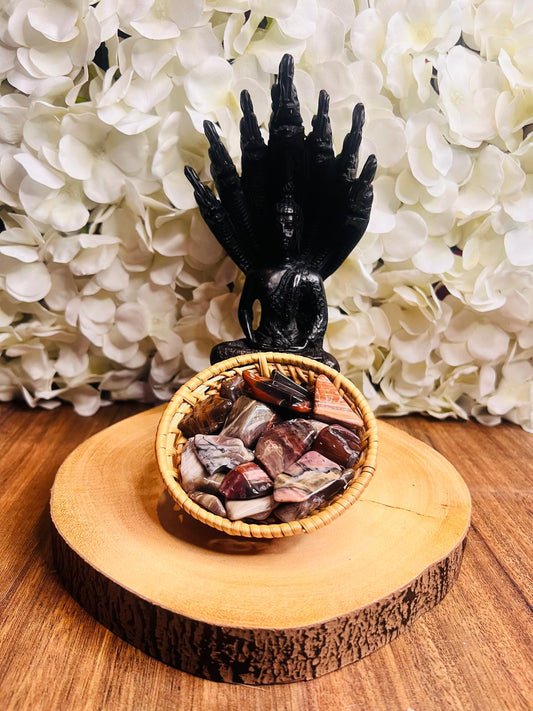 Petrified Wood Tumble